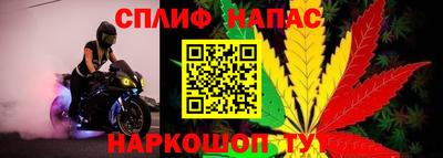 тгк Кимры