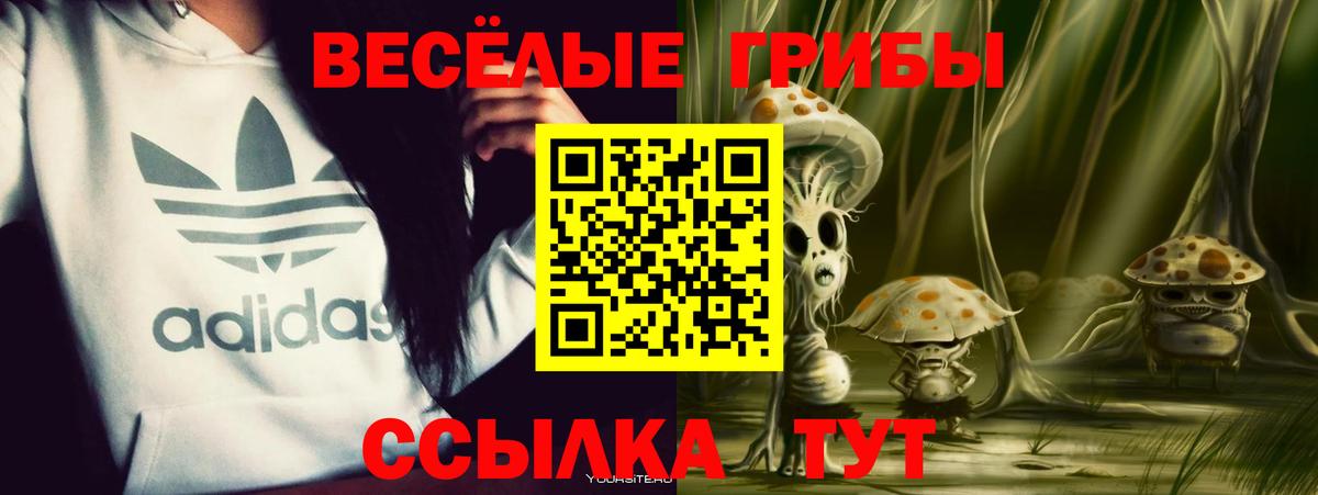 Галлюциногенные грибы прущие грибы  Псилоцибиновые грибы ЛСД  Костомукша  Вход с VPN 